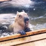 A@挨拶等不要・メッセージ数削減のお願い