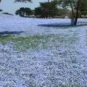 れな　断捨離中の画像