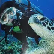 ryuyu19-83の画像