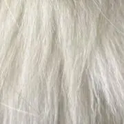 縄文【プロフ要確認】の画像