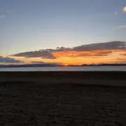 チャキの画像
