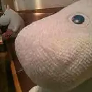 まゆたす⭐︎プロフご覧くださいの画像