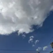 ニコニコ最速便