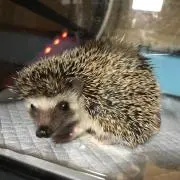 Mama☆