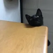 しみる