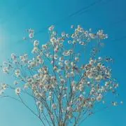 下弦の画像