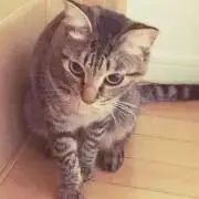 ぞみの