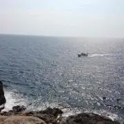 タニモト