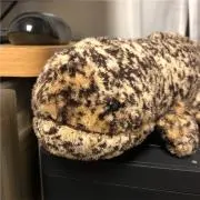 sm3835の画像