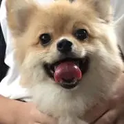 ぼ〜ちゃんくんの画像