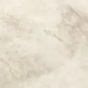 むーの画像