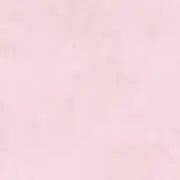 ローズ　プロフ必読の画像