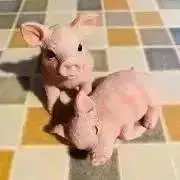 お値下げ中☆mogu☆の画像