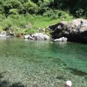 まあくんの画像