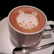 きたさんの画像