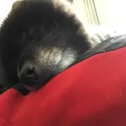 そらの画像