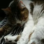 ひろちゃん