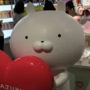 ヌコ
