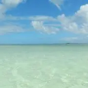 AMANの画像