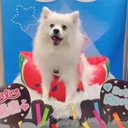Ｓｏｒａの画像