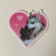 もんちゃんの画像