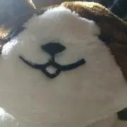 虎鉄
