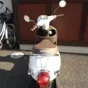 ちょこの画像