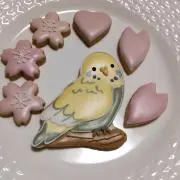 さくらららの画像