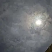 コルクの画像