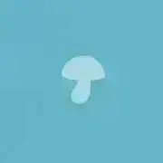 きのこの画像
