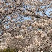 えっちゃん⭐︎