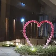 あんの画像