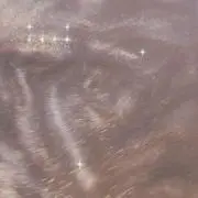 みーの画像