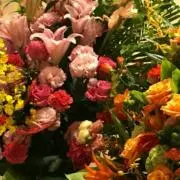 rosemaryの画像
