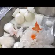 たいっちの画像