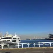 ハピネスの画像
