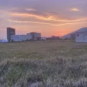 下曽根gogo‼️の画像