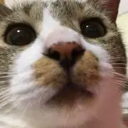 じろうくん