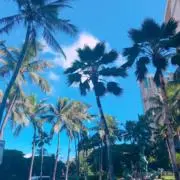 Aa@プロフ必読◎の画像