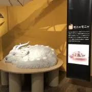 ももの画像