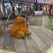 はじめ