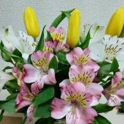 maronの画像