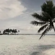 maha ryomaの画像