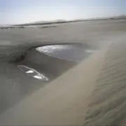 木の画像