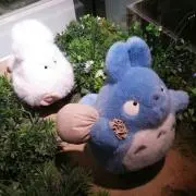 うーやんの画像