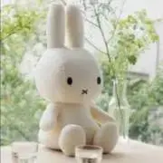 mikodonの画像