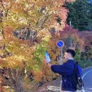 るるの画像
