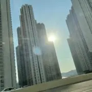 Tmigerの画像