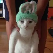 もりもり