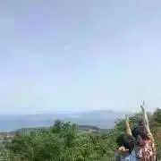 naruの画像